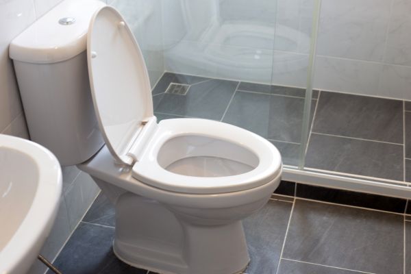 Toilet Replacement in Fredericksburg